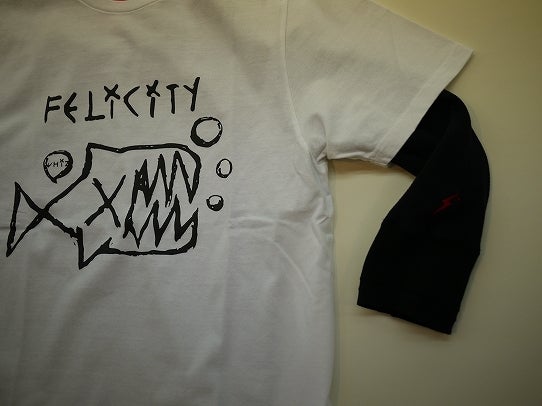 鉄　は　熱　い　う　ち　に　打　て　　　　　　(*ﾟ∀ﾟ)=3ﾑｯﾊｰ