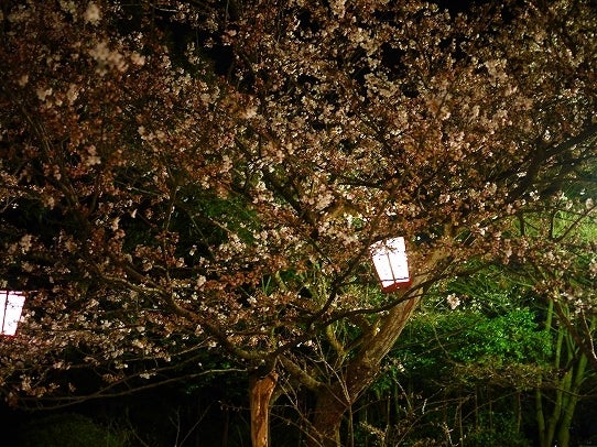 鉄　は　熱　い　う　ち　に　打　て　　　　　　(*ﾟ∀ﾟ)=3ﾑｯﾊｰ