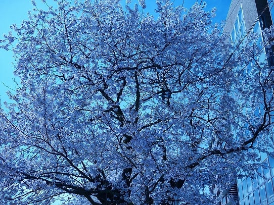 鉄　は　熱　い　う　ち　に　打　て　　　　　　(*ﾟ∀ﾟ)=3ﾑｯﾊｰ