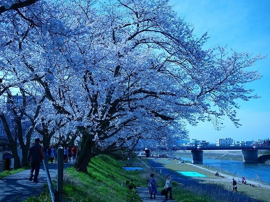 鉄　は　熱　い　う　ち　に　打　て　　　　　　(*ﾟ∀ﾟ)=3ﾑｯﾊｰ