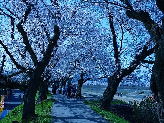 鉄　は　熱　い　う　ち　に　打　て　　　　　　(*ﾟ∀ﾟ)=3ﾑｯﾊｰ