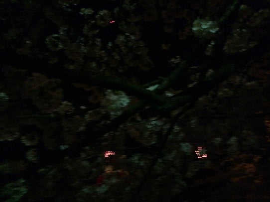 鉄　は　熱　い　う　ち　に　打　て　　　　　　(*ﾟ∀ﾟ)=3ﾑｯﾊｰ