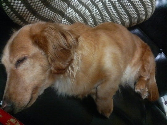 鉄　は　熱　い　う　ち　に　打　て　　　　　　(*ﾟ∀ﾟ)=3ﾑｯﾊｰ