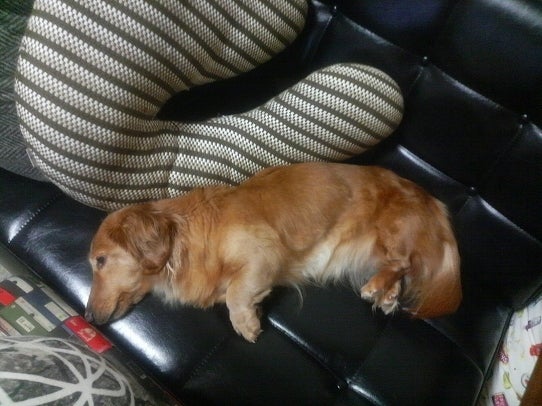 鉄　は　熱　い　う　ち　に　打　て　　　　　　(*ﾟ∀ﾟ)=3ﾑｯﾊｰ