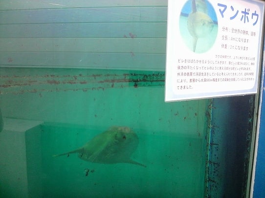 鉄　は　熱　い　う　ち　に　打　て　　　　　　(*ﾟ∀ﾟ)=3ﾑｯﾊｰ