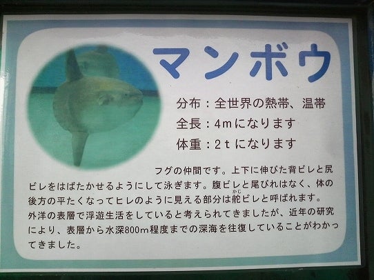 鉄　は　熱　い　う　ち　に　打　て　　　　　　(*ﾟ∀ﾟ)=3ﾑｯﾊｰ