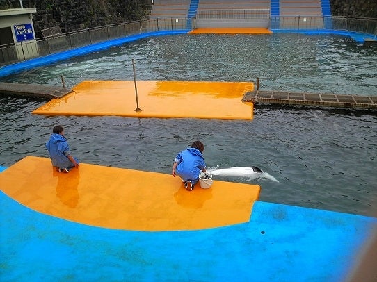 鉄　は　熱　い　う　ち　に　打　て　　　　　　(*ﾟ∀ﾟ)=3ﾑｯﾊｰ