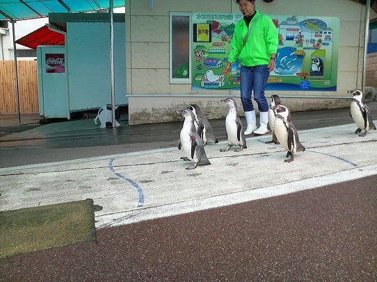 鉄　は　熱　い　う　ち　に　打　て　　　　　　(*ﾟ∀ﾟ)=3ﾑｯﾊｰ