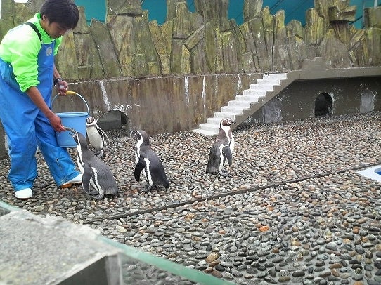 鉄　は　熱　い　う　ち　に　打　て　　　　　　(*ﾟ∀ﾟ)=3ﾑｯﾊｰ