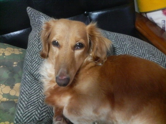 鉄　は　熱　い　う　ち　に　打　て　　　　　　(*ﾟ∀ﾟ)=3ﾑｯﾊｰ