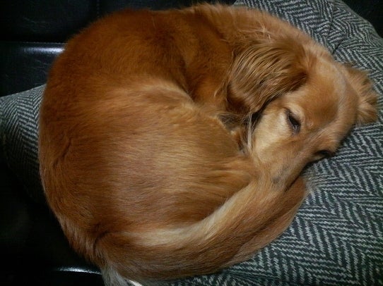 鉄　は　熱　い　う　ち　に　打　て　　　　　　(*ﾟ∀ﾟ)=3ﾑｯﾊｰ