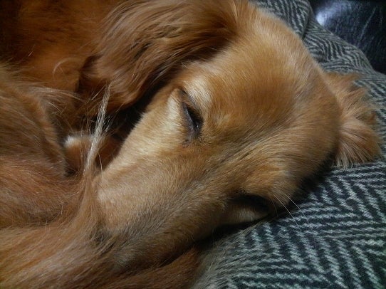 鉄　は　熱　い　う　ち　に　打　て　　　　　　(*ﾟ∀ﾟ)=3ﾑｯﾊｰ