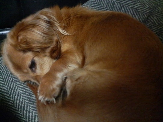 鉄　は　熱　い　う　ち　に　打　て　　　　　　(*ﾟ∀ﾟ)=3ﾑｯﾊｰ