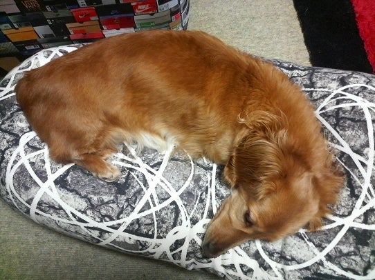 鉄　は　熱　い　う　ち　に　打　て　　　　　　(*ﾟ∀ﾟ)=3ﾑｯﾊｰ