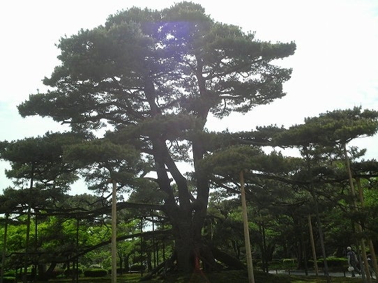 鉄　は　熱　い　う　ち　に　打　て　　　　　　(*ﾟ∀ﾟ)=3ﾑｯﾊｰ