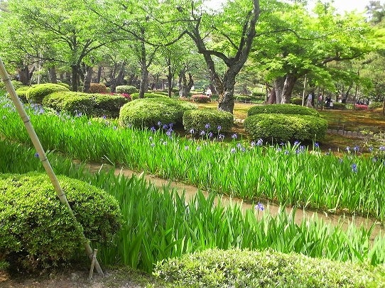 鉄　は　熱　い　う　ち　に　打　て　　　　　　(*ﾟ∀ﾟ)=3ﾑｯﾊｰ