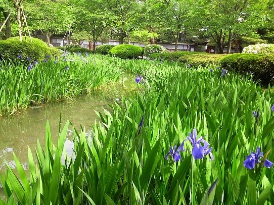 鉄　は　熱　い　う　ち　に　打　て　　　　　　(*ﾟ∀ﾟ)=3ﾑｯﾊｰ