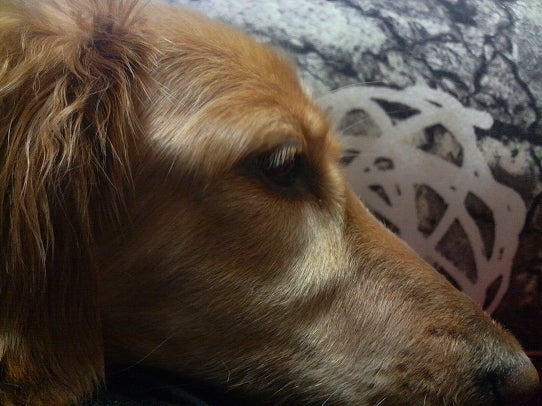 鉄　は　熱　い　う　ち　に　打　て　　　　　　(*ﾟ∀ﾟ)=3ﾑｯﾊｰ