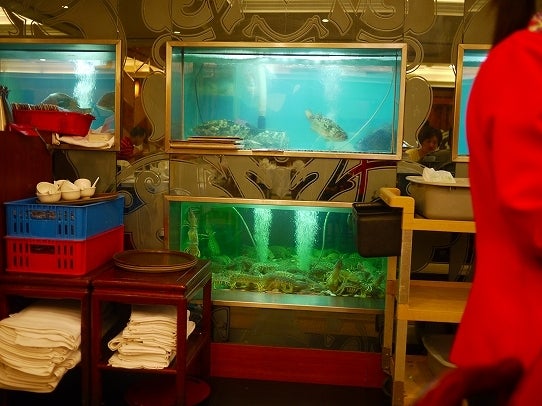 鉄　は　熱　い　う　ち　に　打　て　　　　　　(*ﾟ∀ﾟ)=3ﾑｯﾊｰ