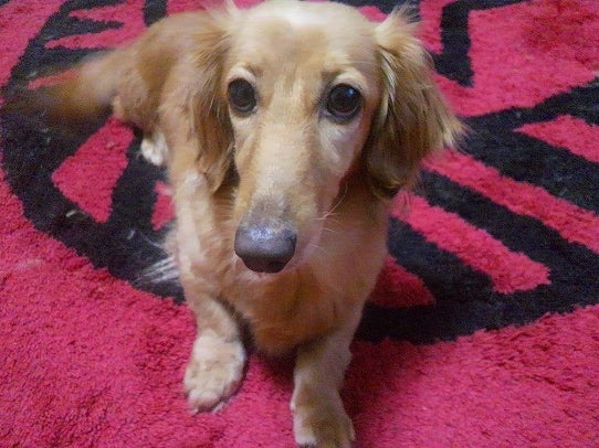 鉄　は　熱　い　う　ち　に　打　て　　　　　　(*ﾟ∀ﾟ)=3ﾑｯﾊｰ