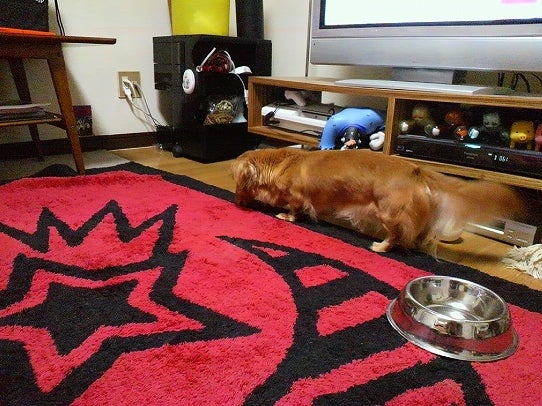 鉄　は　熱　い　う　ち　に　打　て　　　　　　(*ﾟ∀ﾟ)=3ﾑｯﾊｰ