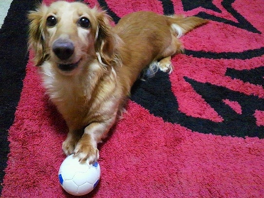 鉄　は　熱　い　う　ち　に　打　て　　　　　　(*ﾟ∀ﾟ)=3ﾑｯﾊｰ