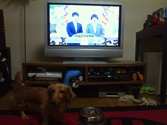 鉄　は　熱　い　う　ち　に　打　て　　　　　　(*ﾟ∀ﾟ)=3ﾑｯﾊｰ