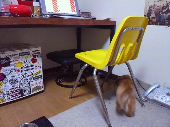 鉄　は　熱　い　う　ち　に　打　て　　　　　　(*ﾟ∀ﾟ)=3ﾑｯﾊｰ