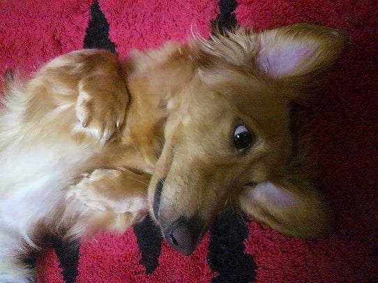 鉄　は　熱　い　う　ち　に　打　て　　　　　　(*ﾟ∀ﾟ)=3ﾑｯﾊｰ