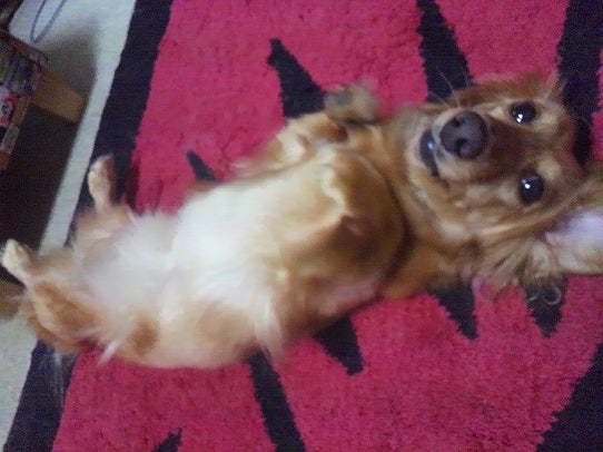 鉄　は　熱　い　う　ち　に　打　て　　　　　　(*ﾟ∀ﾟ)=3ﾑｯﾊｰ