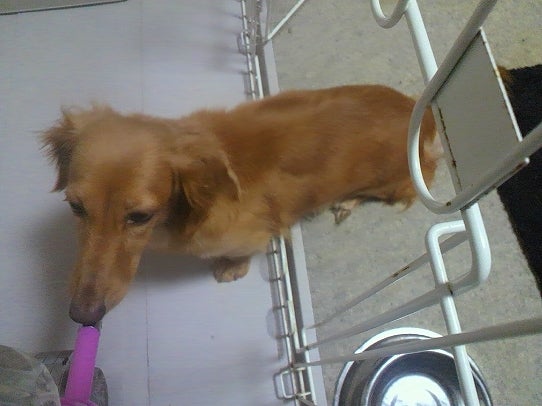 鉄　は　熱　い　う　ち　に　打　て　　　　　　(*ﾟ∀ﾟ)=3ﾑｯﾊｰ