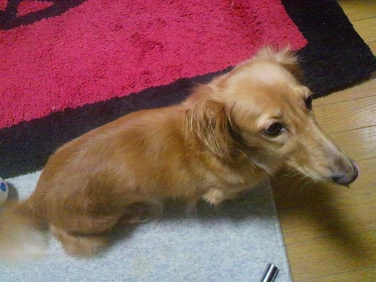 鉄　は　熱　い　う　ち　に　打　て　　　　　　(*ﾟ∀ﾟ)=3ﾑｯﾊｰ