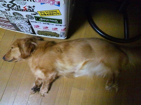 鉄　は　熱　い　う　ち　に　打　て　　　　　　(*ﾟ∀ﾟ)=3ﾑｯﾊｰ