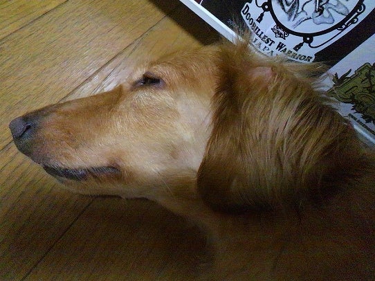 鉄　は　熱　い　う　ち　に　打　て　　　　　　(*ﾟ∀ﾟ)=3ﾑｯﾊｰ