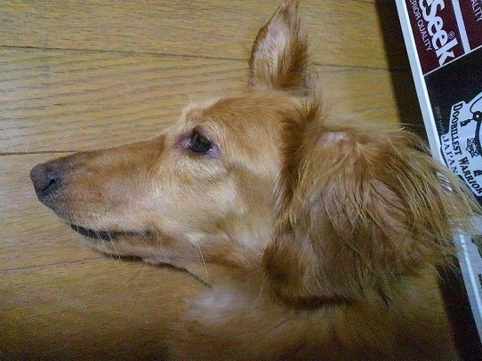 鉄　は　熱　い　う　ち　に　打　て　　　　　　(*ﾟ∀ﾟ)=3ﾑｯﾊｰ