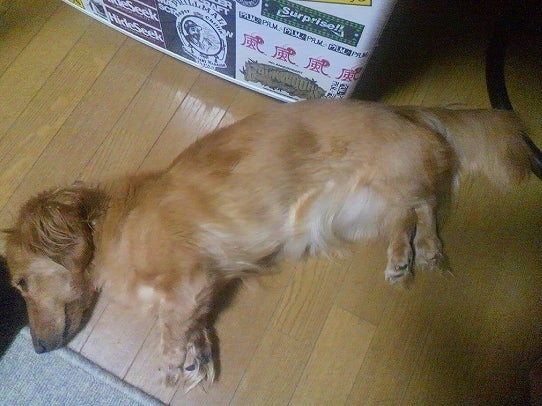 鉄　は　熱　い　う　ち　に　打　て　　　　　　(*ﾟ∀ﾟ)=3ﾑｯﾊｰ