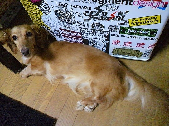 鉄　は　熱　い　う　ち　に　打　て　　　　　　(*ﾟ∀ﾟ)=3ﾑｯﾊｰ