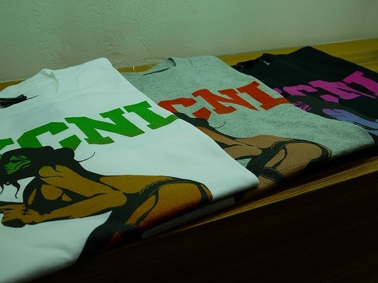 鉄　は　熱　い　う　ち　に　打　て　　　　　　(*ﾟ∀ﾟ)=3ﾑｯﾊｰ