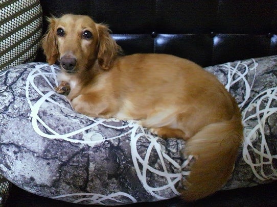 鉄　は　熱　い　う　ち　に　打　て　　　　　　(*ﾟ∀ﾟ)=3ﾑｯﾊｰ