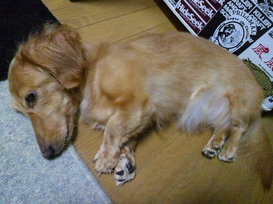 鉄　は　熱　い　う　ち　に　打　て　　　　　　(*ﾟ∀ﾟ)=3ﾑｯﾊｰ