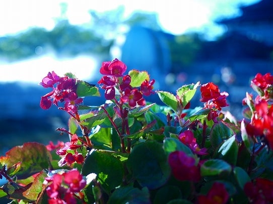 鉄　は　熱　い　う　ち　に　打　て　　　　　　(*ﾟ∀ﾟ)=3ﾑｯﾊｰ