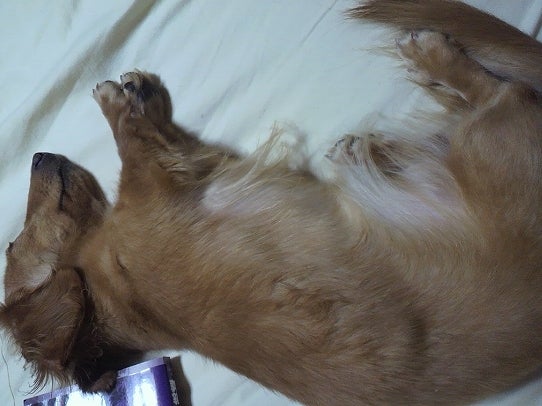 鉄　は　熱　い　う　ち　に　打　て　　　　　　(*ﾟ∀ﾟ)=3ﾑｯﾊｰ