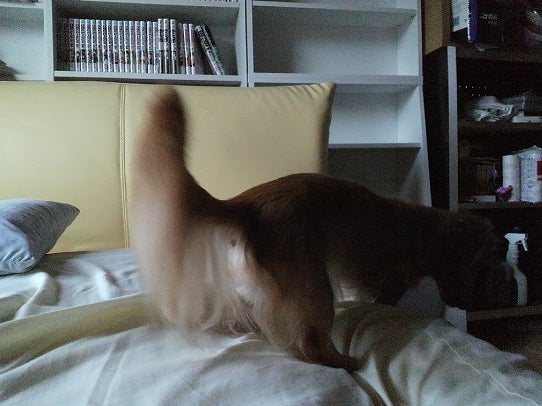 鉄　は　熱　い　う　ち　に　打　て　　　　　　(*ﾟ∀ﾟ)=3ﾑｯﾊｰ