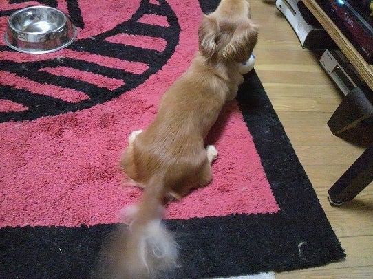 鉄　は　熱　い　う　ち　に　打　て　　　　　　(*ﾟ∀ﾟ)=3ﾑｯﾊｰ