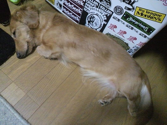 鉄　は　熱　い　う　ち　に　打　て　　　　　　(*ﾟ∀ﾟ)=3ﾑｯﾊｰ