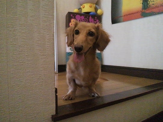 鉄　は　熱　い　う　ち　に　打　て　　　　　　(*ﾟ∀ﾟ)=3ﾑｯﾊｰ