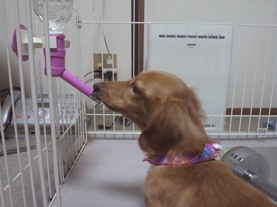 鉄　は　熱　い　う　ち　に　打　て　　　　　　(*ﾟ∀ﾟ)=3ﾑｯﾊｰ