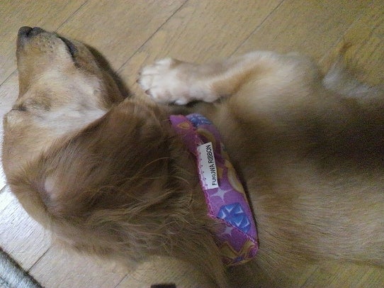 鉄　は　熱　い　う　ち　に　打　て　　　　　　(*ﾟ∀ﾟ)=3ﾑｯﾊｰ