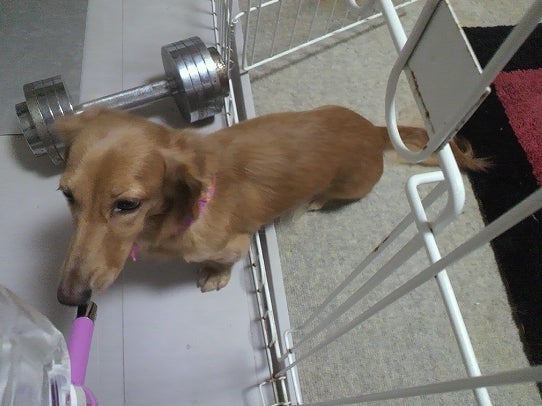 鉄　は　熱　い　う　ち　に　打　て　　　　　　(*ﾟ∀ﾟ)=3ﾑｯﾊｰ