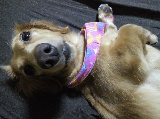 鉄　は　熱　い　う　ち　に　打　て　　　　　　(*ﾟ∀ﾟ)=3ﾑｯﾊｰ